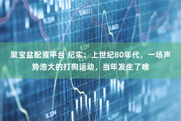 聚宝盆配资平台 纪实：上世纪80年代，一场声势浩大的打狗运动，当年发生了啥